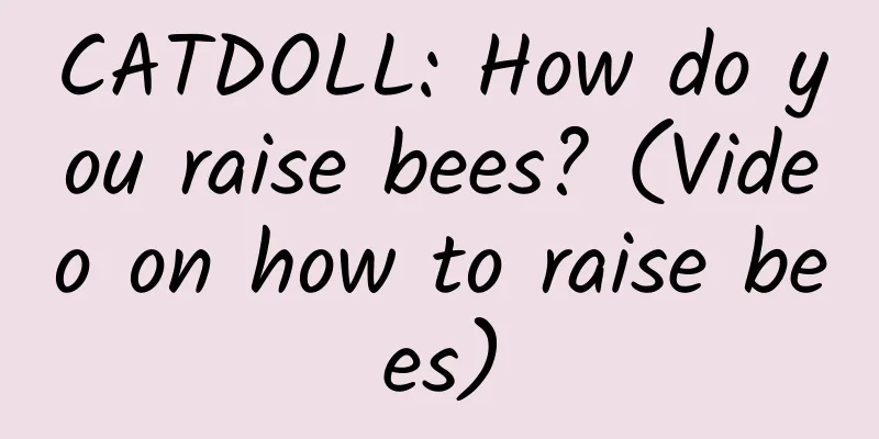 CATDOLL: How do you raise bees? (Video on how to raise bees)