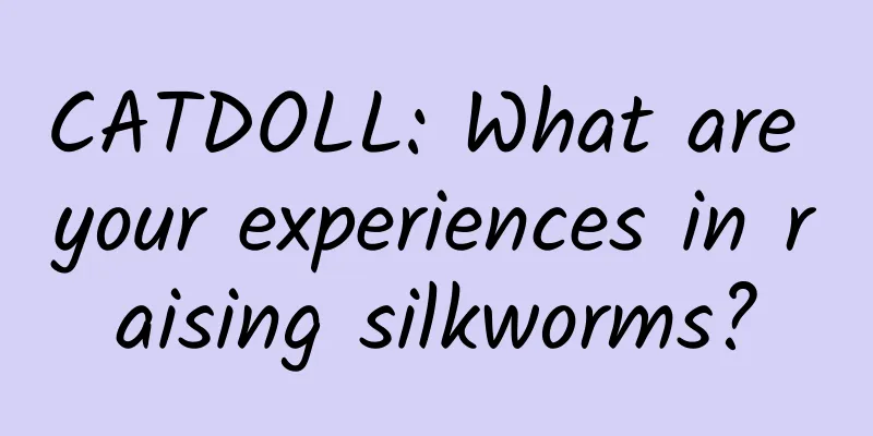 CATDOLL: What are your experiences in raising silkworms?