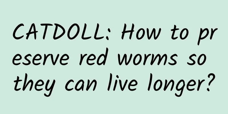 CATDOLL: How to preserve red worms so they can live longer?