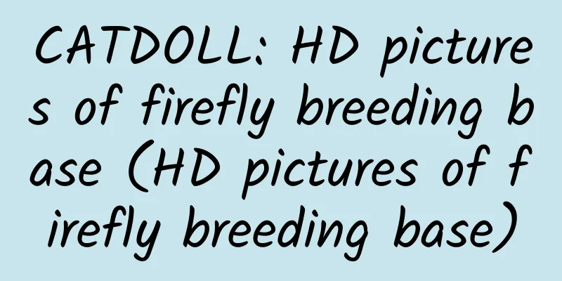 CATDOLL: HD pictures of firefly breeding base (HD pictures of firefly breeding base)