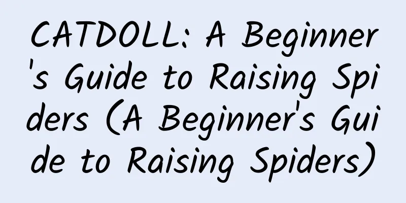 CATDOLL: A Beginner's Guide to Raising Spiders (A Beginner's Guide to Raising Spiders)