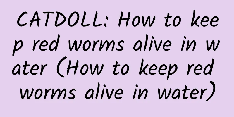 CATDOLL: How to keep red worms alive in water (How to keep red worms alive in water)