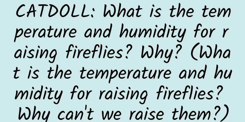 CATDOLL: What is the temperature and humidity for raising fireflies? Why? (What is the temperature and humidity for raising fireflies? Why can't we raise them?)