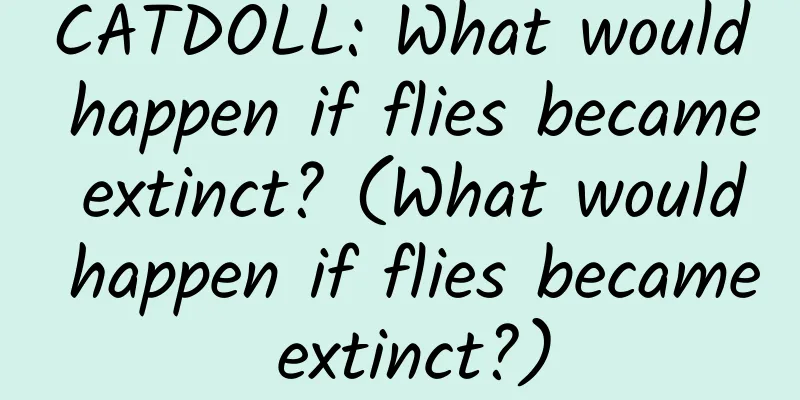 CATDOLL: What would happen if flies became extinct? (What would happen if flies became extinct?)