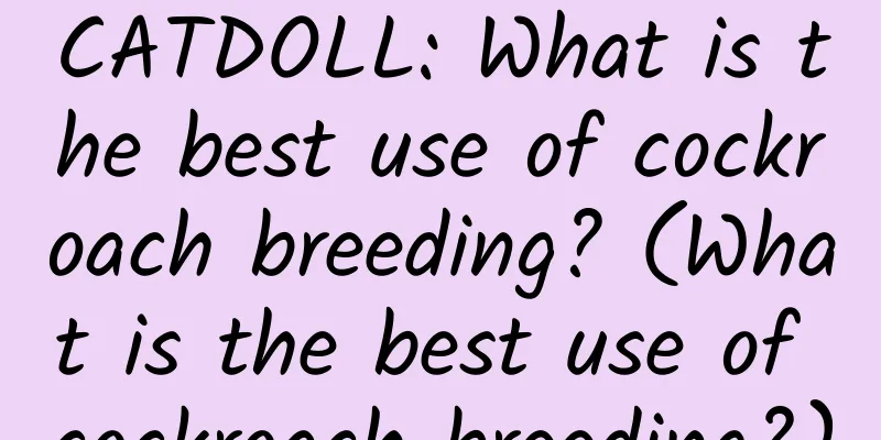 CATDOLL: What is the best use of cockroach breeding? (What is the best use of cockroach breeding?)