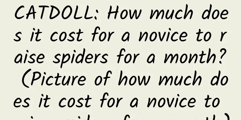 CATDOLL: How much does it cost for a novice to raise spiders for a month? (Picture of how much does it cost for a novice to raise spiders for a month)