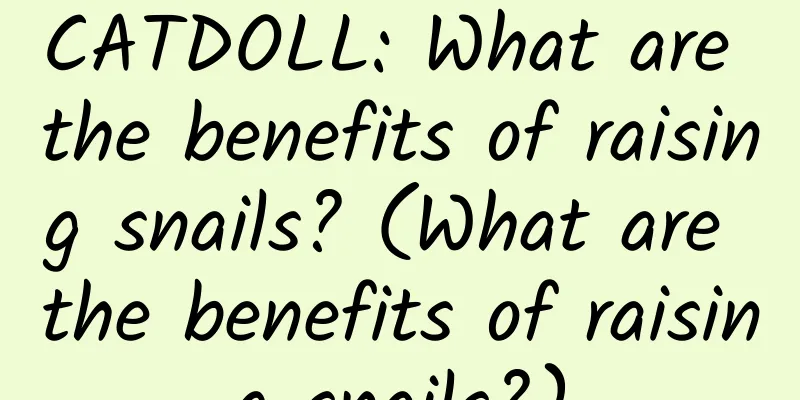 CATDOLL: What are the benefits of raising snails? (What are the benefits of raising snails?)