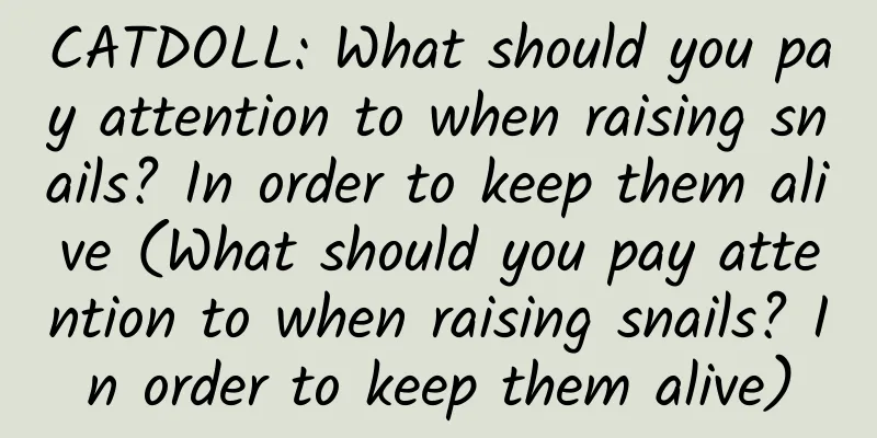 CATDOLL: What should you pay attention to when raising snails? In order to keep them alive (What should you pay attention to when raising snails? In order to keep them alive)