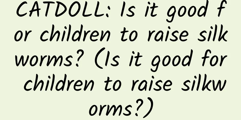 CATDOLL: Is it good for children to raise silkworms? (Is it good for children to raise silkworms?)