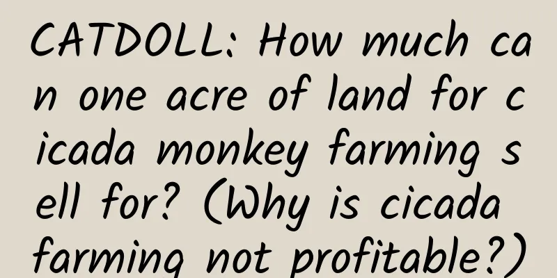 CATDOLL: How much can one acre of land for cicada monkey farming sell for? (Why is cicada farming not profitable?)