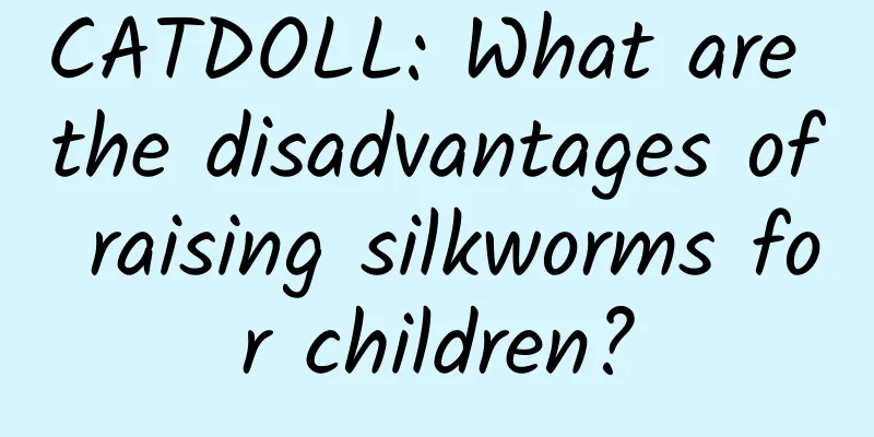 CATDOLL: What are the disadvantages of raising silkworms for children?