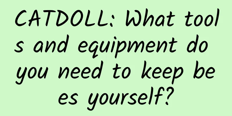 CATDOLL: What tools and equipment do you need to keep bees yourself?