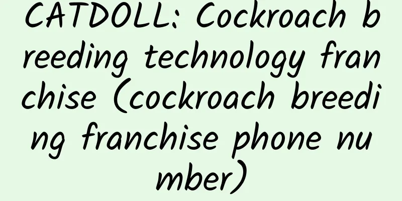 CATDOLL: Cockroach breeding technology franchise (cockroach breeding franchise phone number)