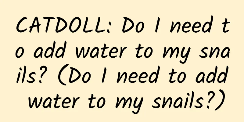 CATDOLL: Do I need to add water to my snails? (Do I need to add water to my snails?)