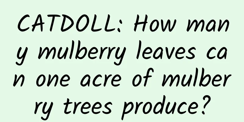 CATDOLL: How many mulberry leaves can one acre of mulberry trees produce?
