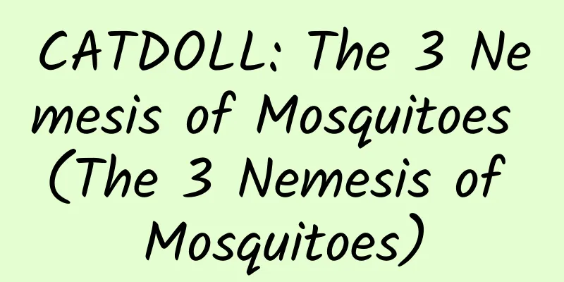 CATDOLL: The 3 Nemesis of Mosquitoes (The 3 Nemesis of Mosquitoes)