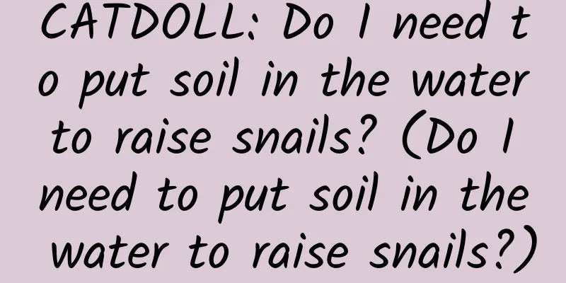 CATDOLL: Do I need to put soil in the water to raise snails? (Do I need to put soil in the water to raise snails?)