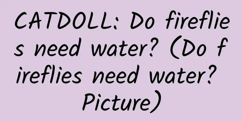 CATDOLL: Do fireflies need water? (Do fireflies need water? Picture)