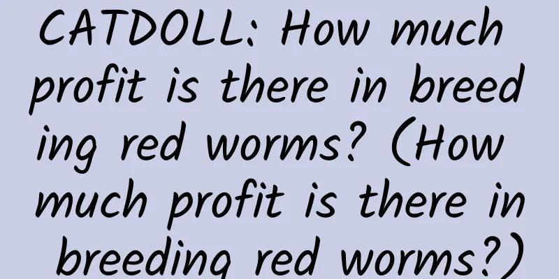 CATDOLL: How much profit is there in breeding red worms? (How much profit is there in breeding red worms?)