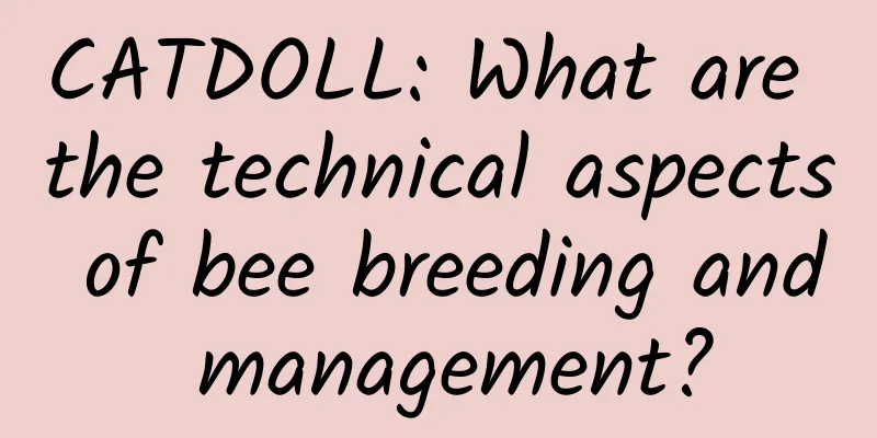 CATDOLL: What are the technical aspects of bee breeding and management?