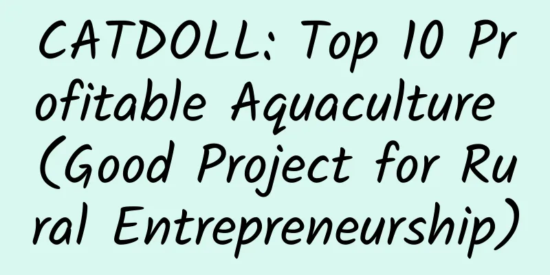 CATDOLL: Top 10 Profitable Aquaculture (Good Project for Rural Entrepreneurship)