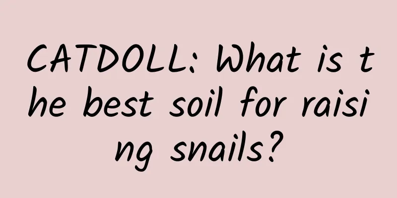 CATDOLL: What is the best soil for raising snails?