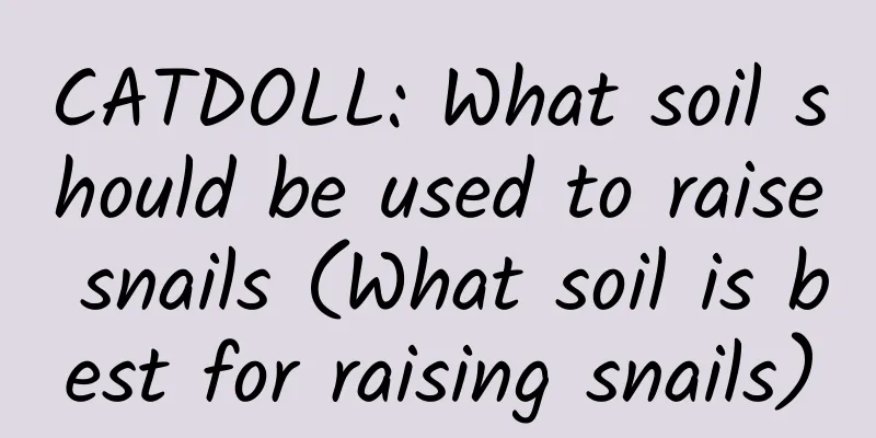 CATDOLL: What soil should be used to raise snails (What soil is best for raising snails)
