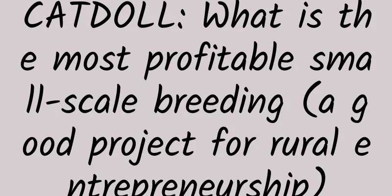 CATDOLL: What is the most profitable small-scale breeding (a good project for rural entrepreneurship)