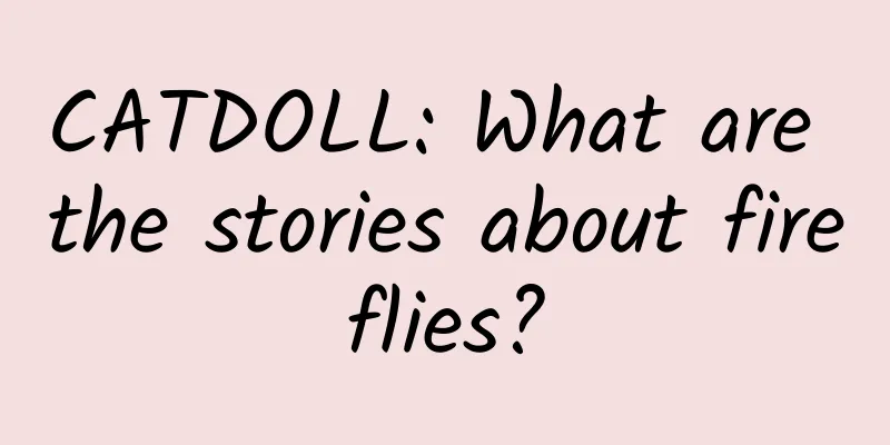 CATDOLL: What are the stories about fireflies?