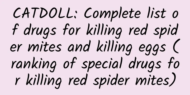 CATDOLL: Complete list of drugs for killing red spider mites and killing eggs (ranking of special drugs for killing red spider mites)
