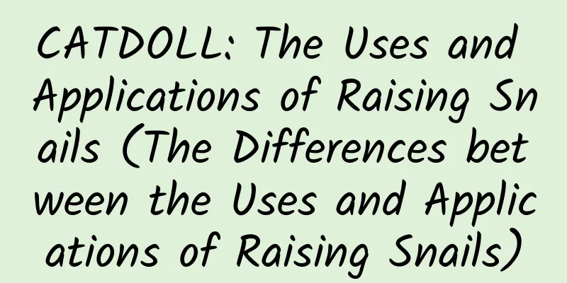 CATDOLL: The Uses and Applications of Raising Snails (The Differences between the Uses and Applications of Raising Snails)