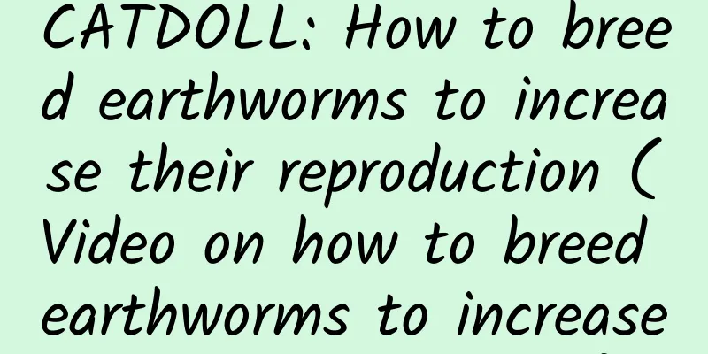 CATDOLL: How to breed earthworms to increase their reproduction (Video on how to breed earthworms to increase their reproduction)
