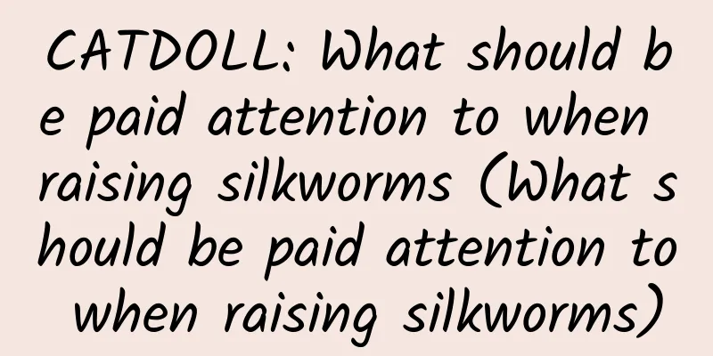 CATDOLL: What should be paid attention to when raising silkworms (What should be paid attention to when raising silkworms)