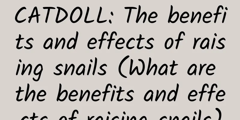CATDOLL: The benefits and effects of raising snails (What are the benefits and effects of raising snails)