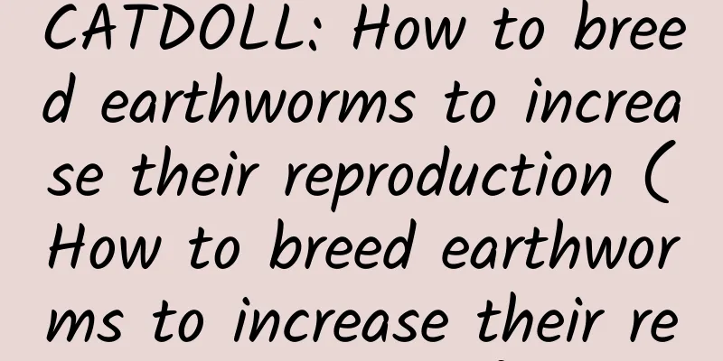 CATDOLL: How to breed earthworms to increase their reproduction (How to breed earthworms to increase their reproduction)