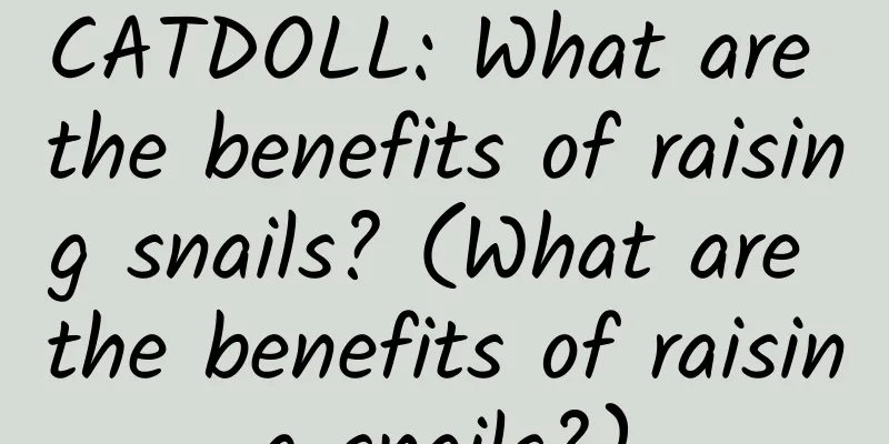 CATDOLL: What are the benefits of raising snails? (What are the benefits of raising snails?)