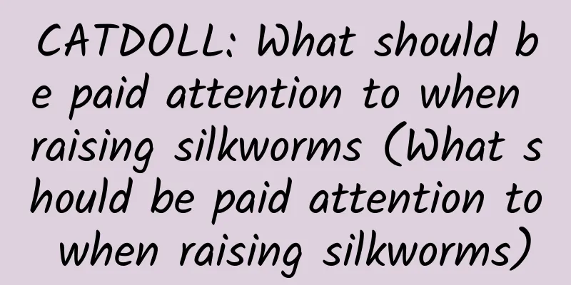 CATDOLL: What should be paid attention to when raising silkworms (What should be paid attention to when raising silkworms)