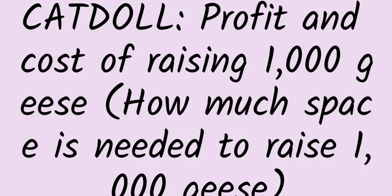 CATDOLL: Profit and cost of raising 1,000 geese (How much space is needed to raise 1,000 geese)
