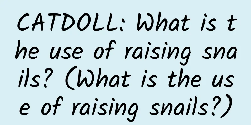 CATDOLL: What is the use of raising snails? (What is the use of raising snails?)