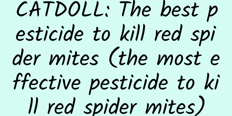 CATDOLL: The best pesticide to kill red spider mites (the most effective pesticide to kill red spider mites)