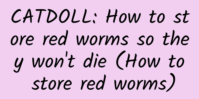 CATDOLL: How to store red worms so they won't die (How to store red worms)