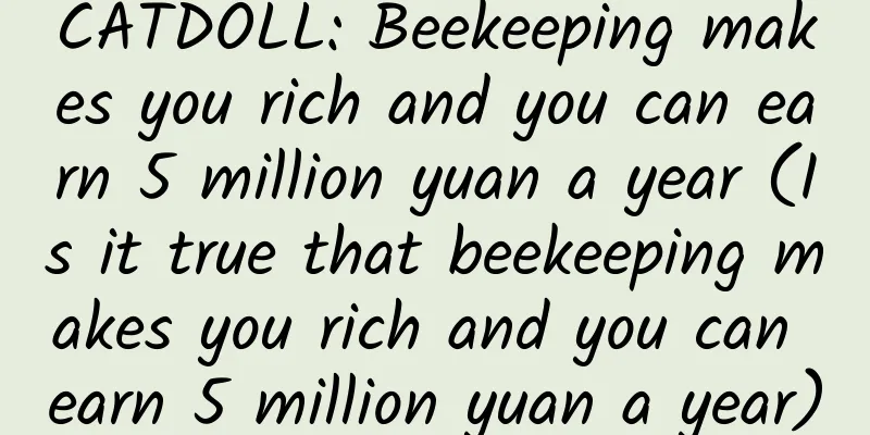 CATDOLL: Beekeeping makes you rich and you can earn 5 million yuan a year (Is it true that beekeeping makes you rich and you can earn 5 million yuan a year)