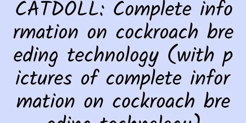 CATDOLL: Complete information on cockroach breeding technology (with pictures of complete information on cockroach breeding technology)