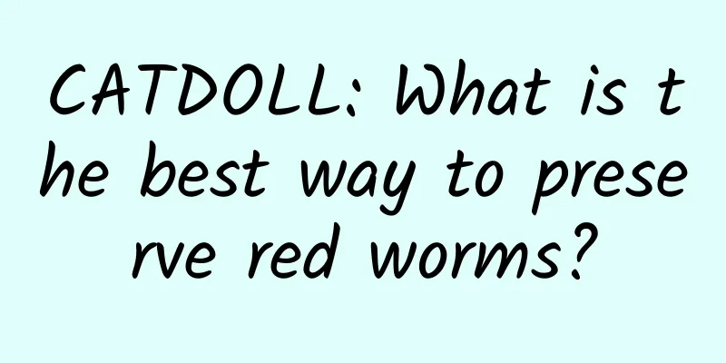 CATDOLL: What is the best way to preserve red worms?