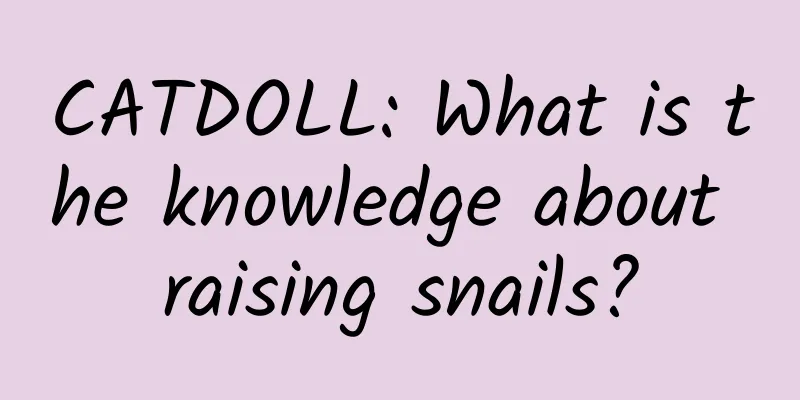 CATDOLL: What is the knowledge about raising snails?
