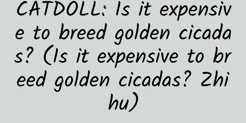 CATDOLL: Is it expensive to breed golden cicadas? (Is it expensive to breed golden cicadas? Zhihu)