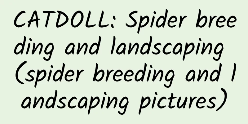 CATDOLL: Spider breeding and landscaping (spider breeding and landscaping pictures)