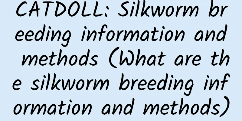 CATDOLL: Silkworm breeding information and methods (What are the silkworm breeding information and methods)
