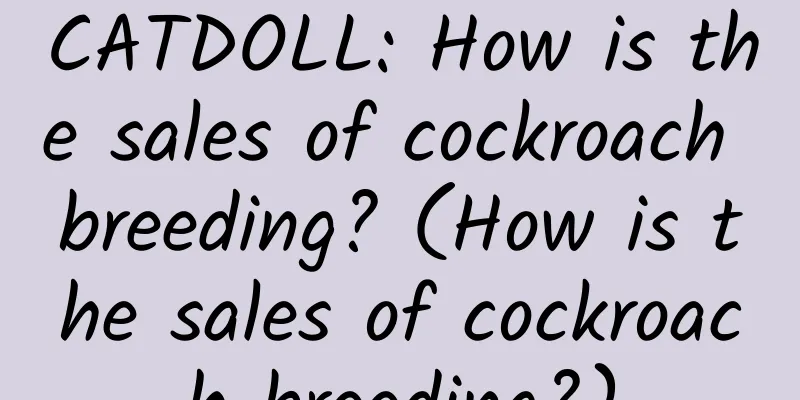 CATDOLL: How is the sales of cockroach breeding? (How is the sales of cockroach breeding?)