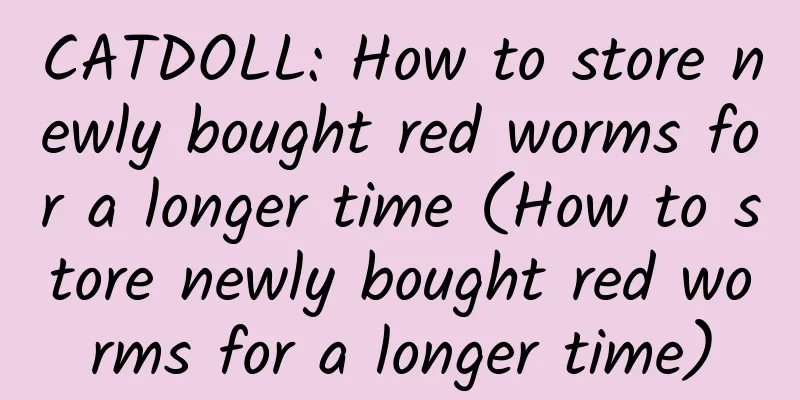 CATDOLL: How to store newly bought red worms for a longer time (How to store newly bought red worms for a longer time)